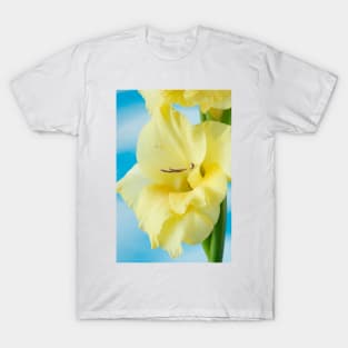 Gladiolus  'Jacksonville Gold' T-Shirt